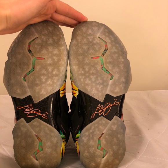 Lebron 11 Everglades - Picture 5 of 5